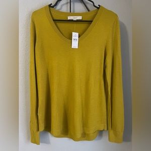 Women’s Medium Loft Scoop Neck Mustard Sweater